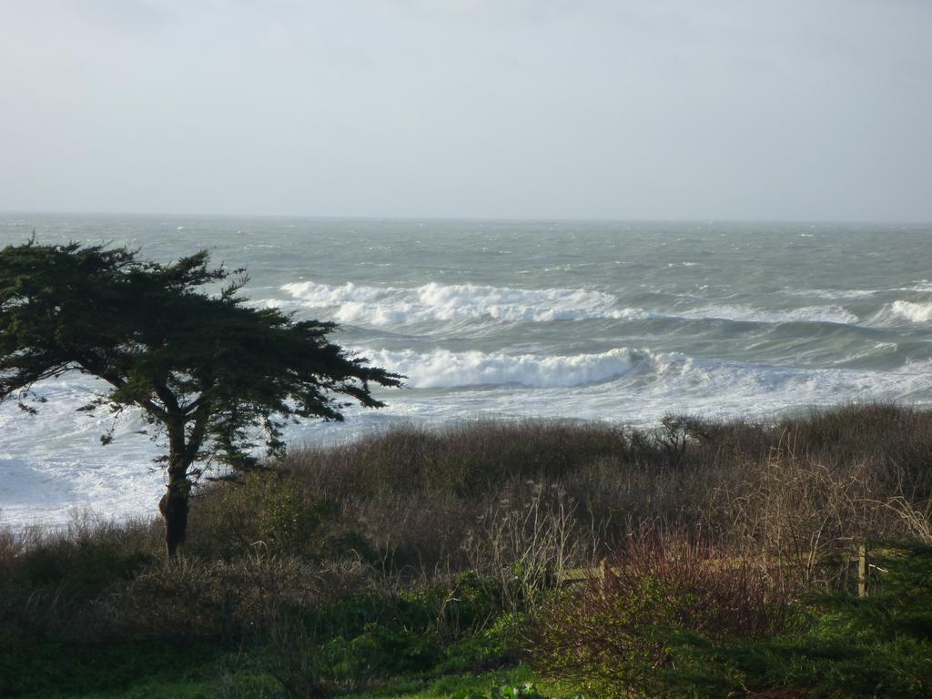 La Criste Marine Bed & Breakfast Groix Bilik gambar